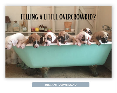 Feeling a Little Overcrowded | Funny Real Estate Postcard Download