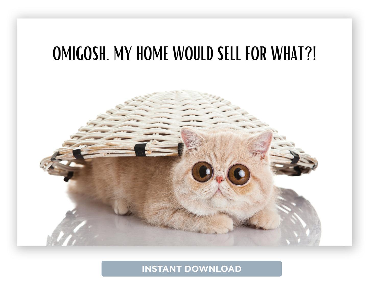 OMG My Home Would Sell For What?! | Funny Real Estate Referral Postcard Download