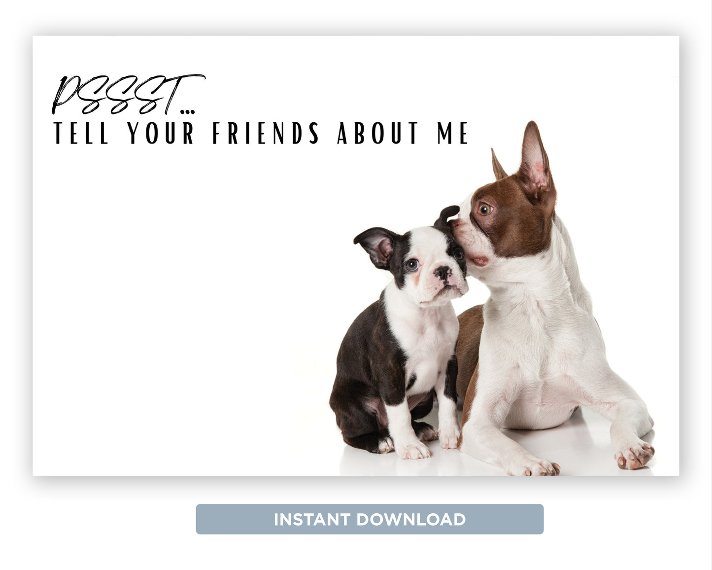 Pssst Tell Your Friends About Me | Funny Real Estate Referral Postcard Download